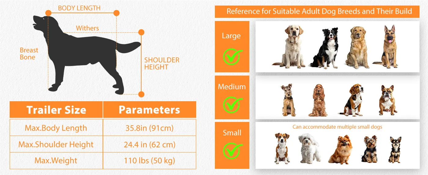 Scout 2-in-1 Dog Bike Trailer & Stroller detail