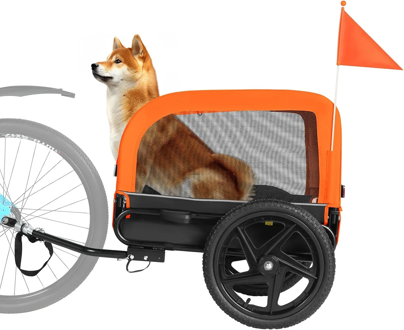 Orange Black